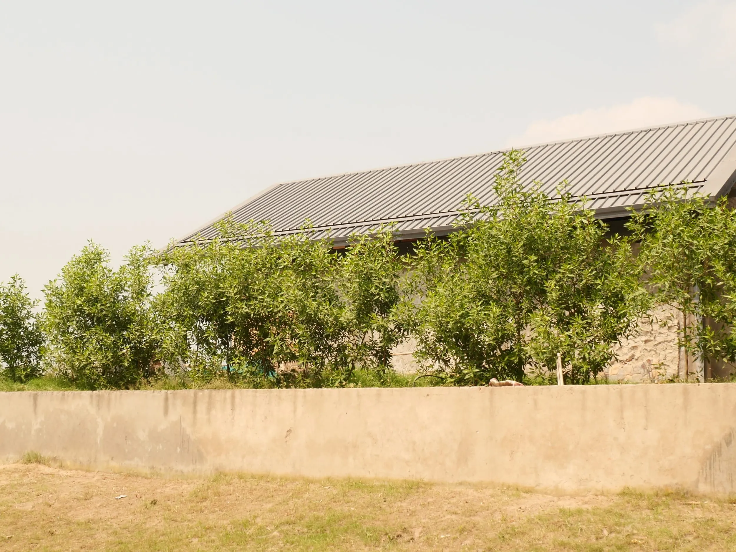 House amidst Polo Grounds — detail 5