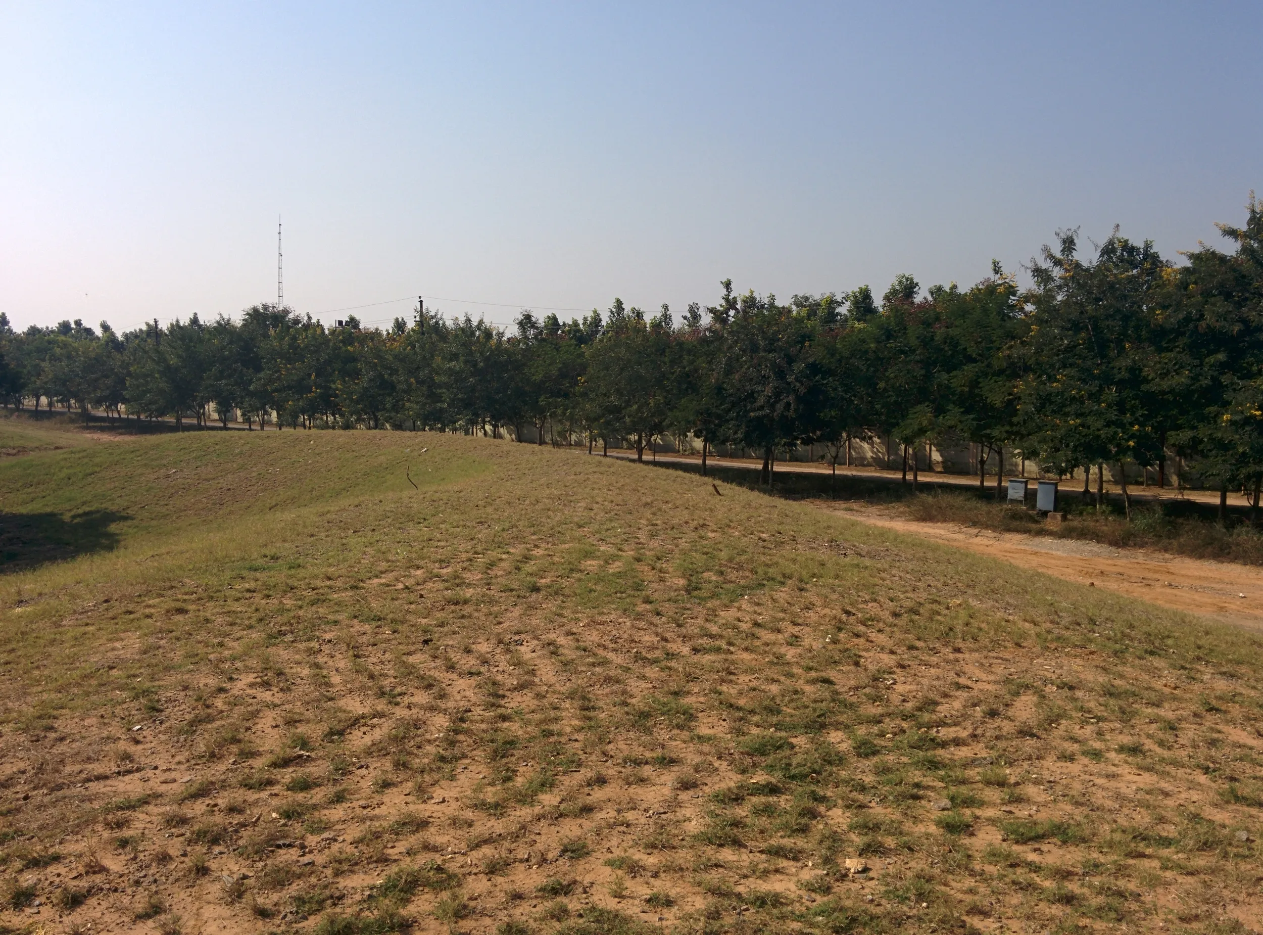 Township for Jindal Steel at Angul Odisha — detail 6