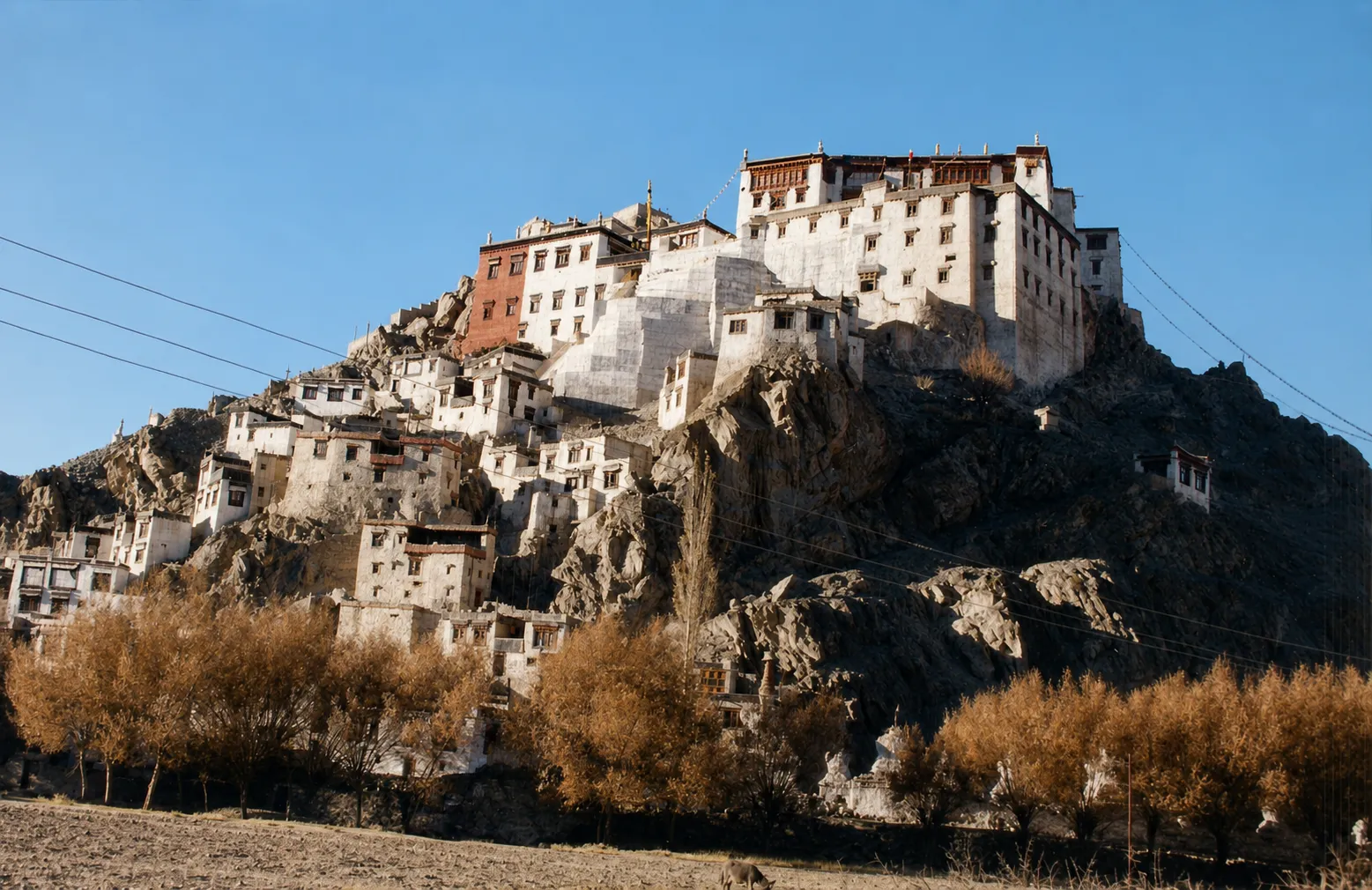 Spituk Monastery — detail 1