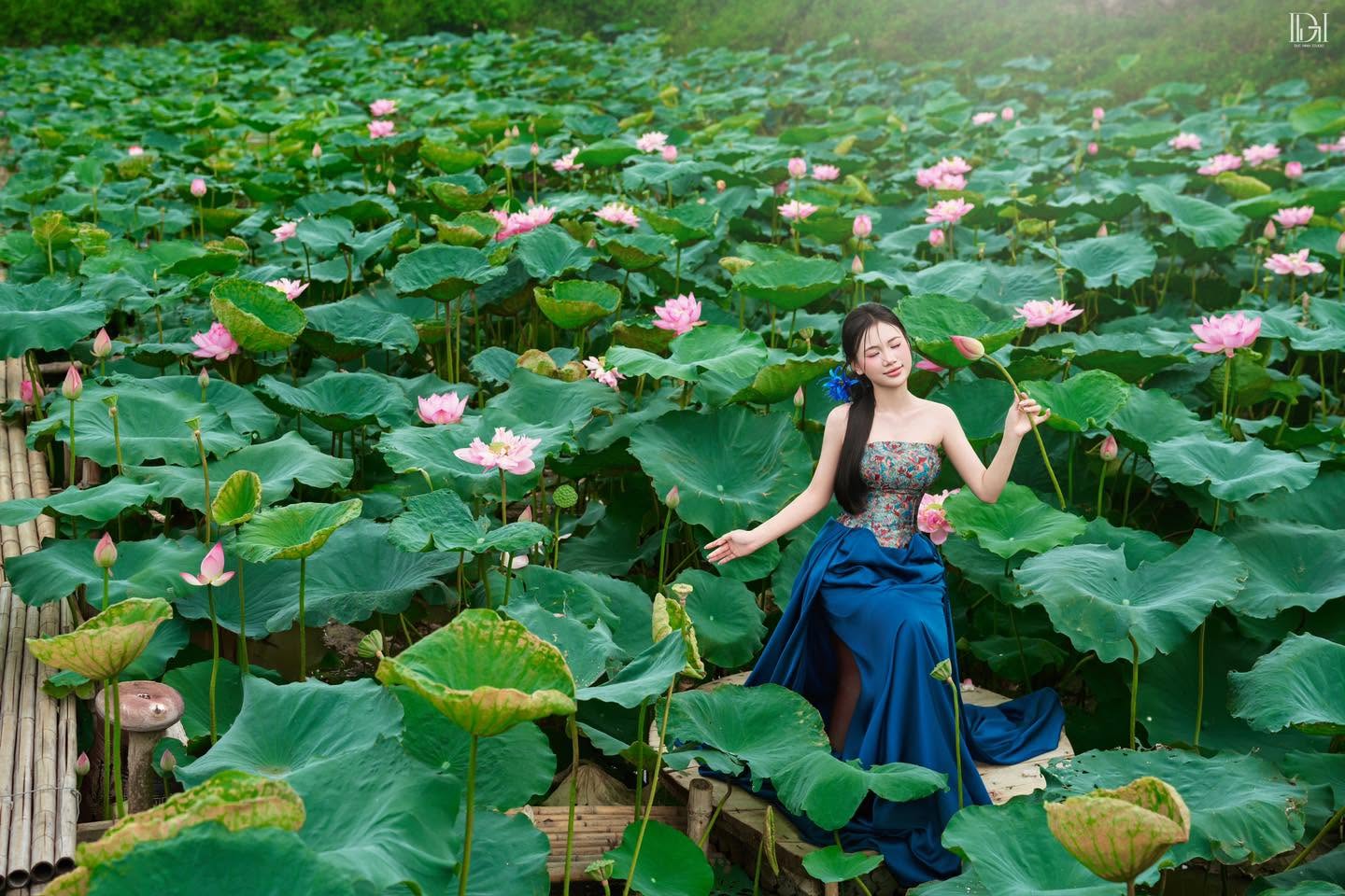 Liên Hoa