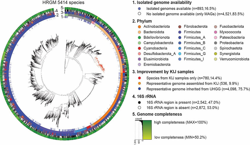 Decoding the Human Microbiomes: Creating a Comprehensive Map of Human Intestinal Flora