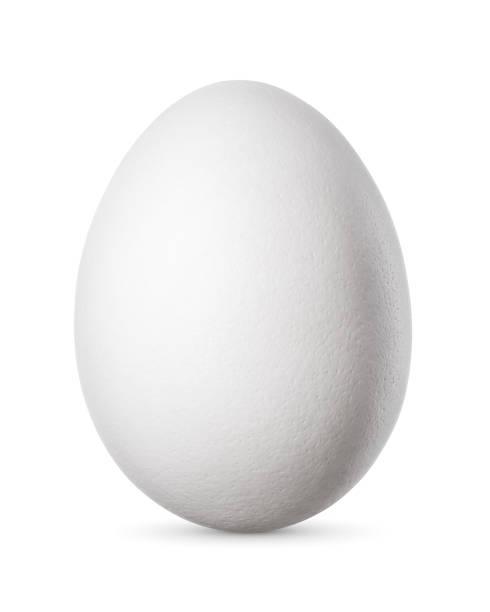 Egg