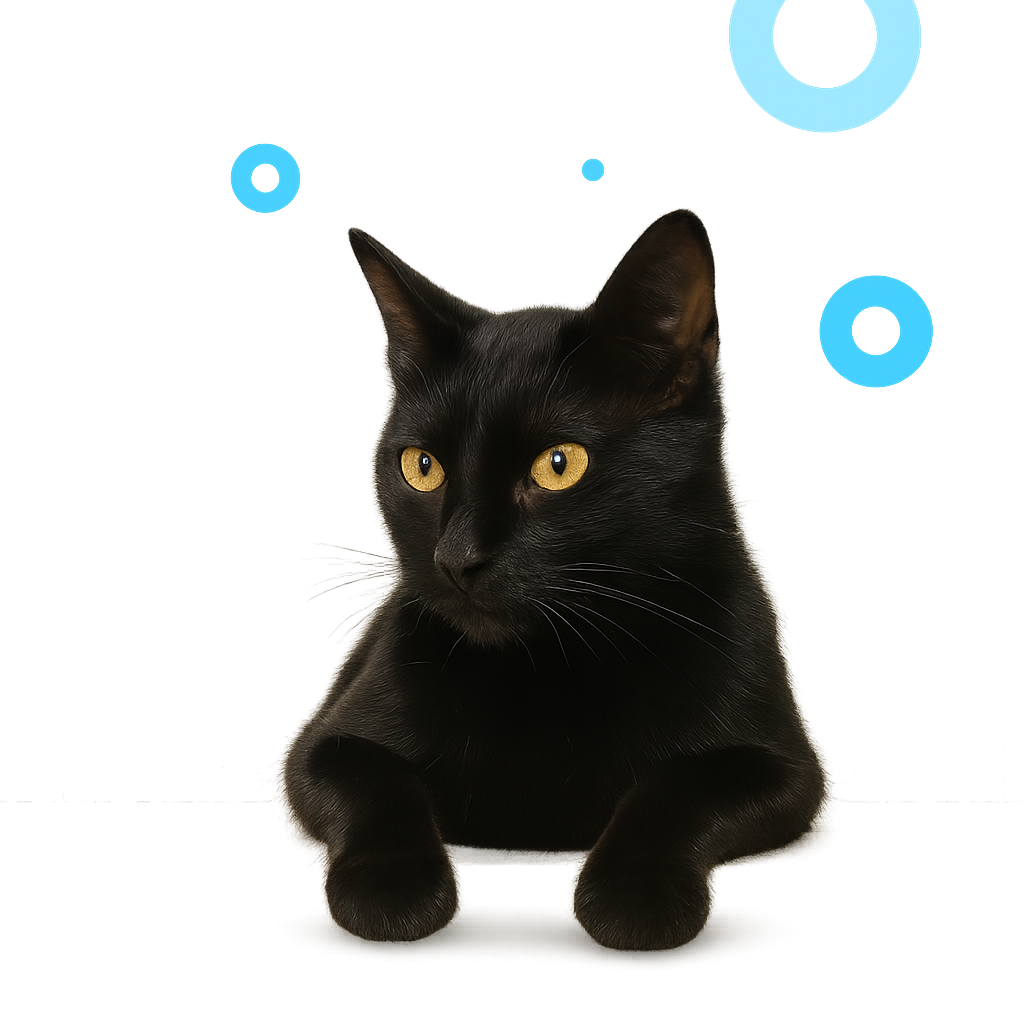 Gato mirando por encima del borde