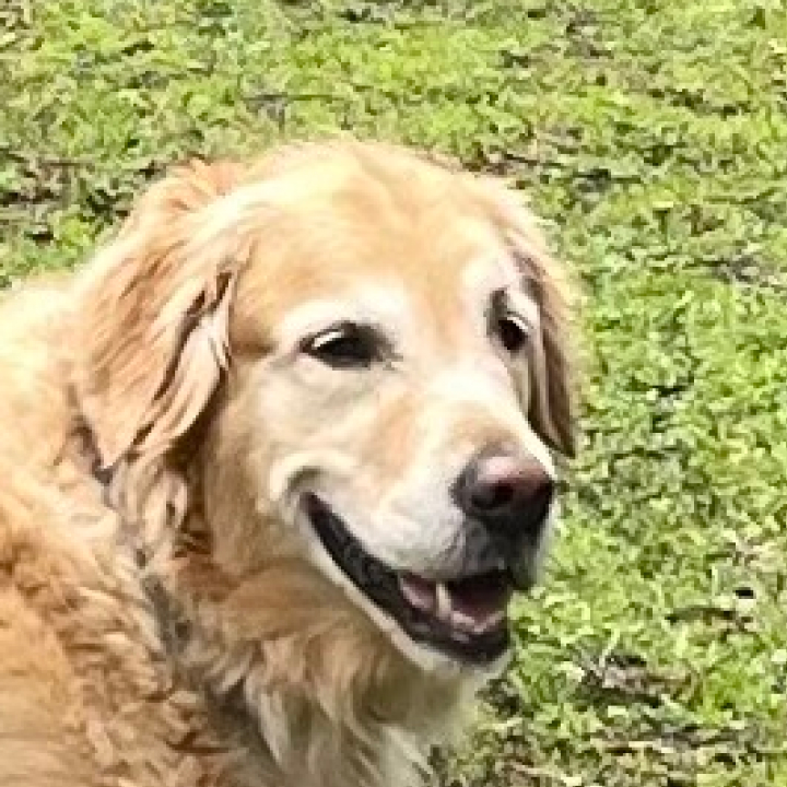 Happy