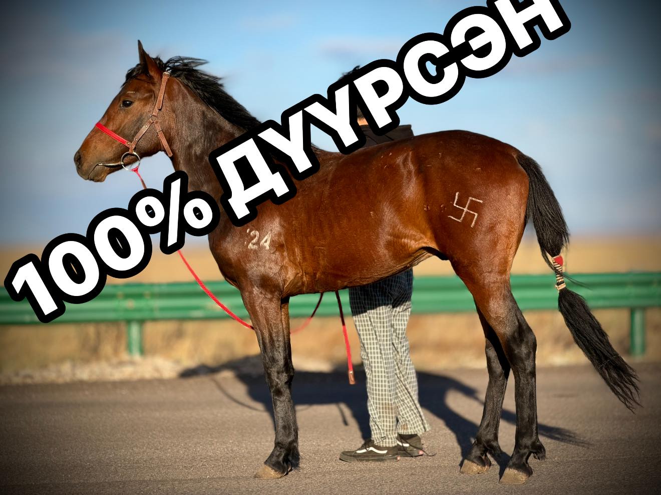 Арвай Хээр