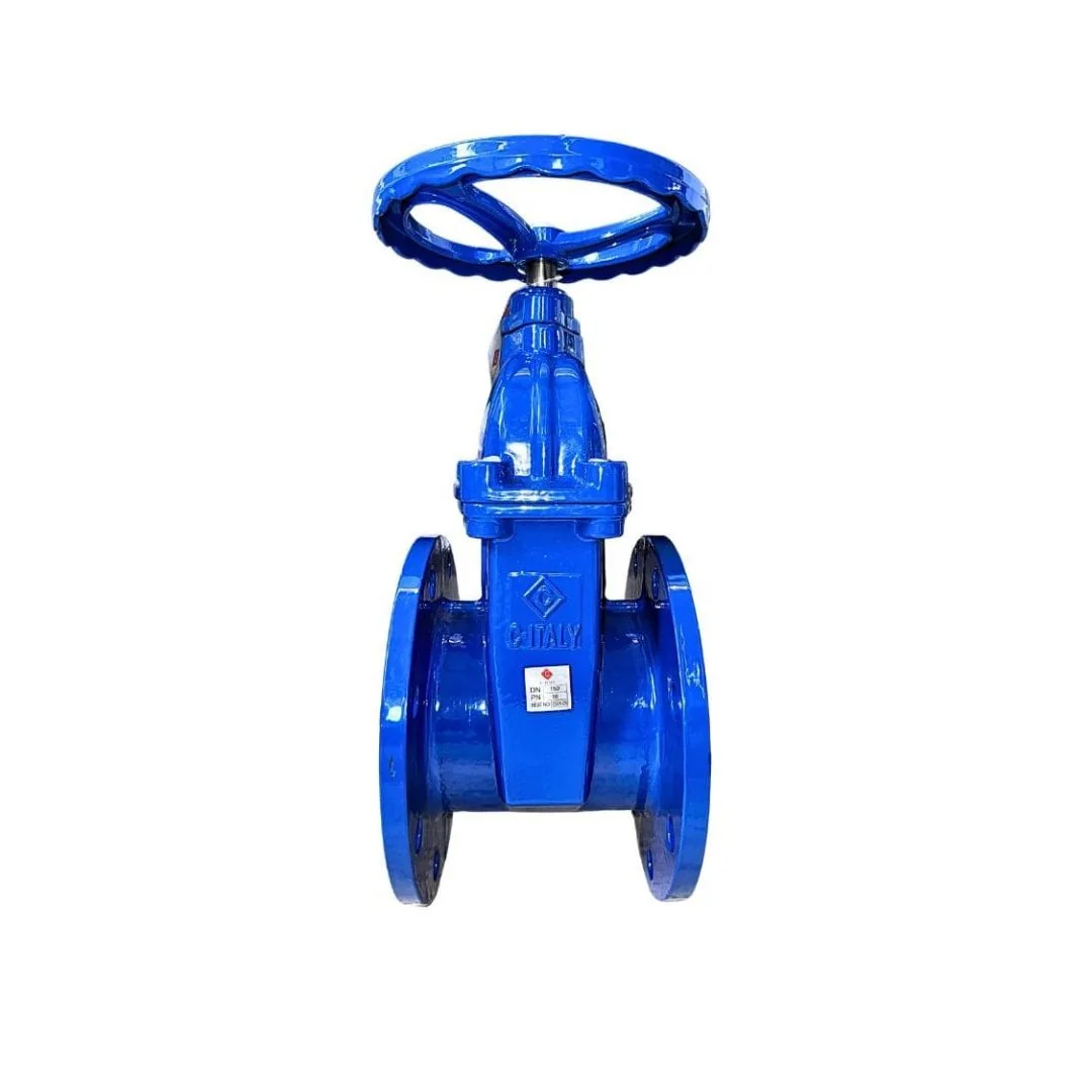 VALVULA COMPUERTA BRIDADA DE HIERRO DUCTIL 6" ROLANVAL ITALY