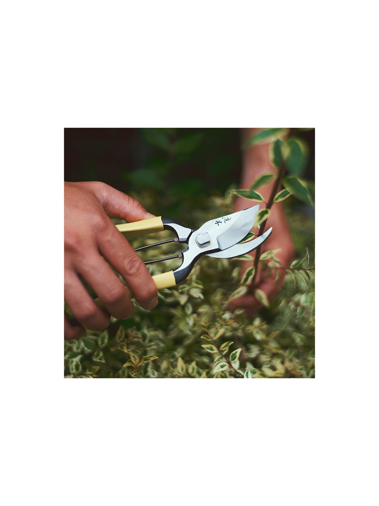 GR Pro Secateurs