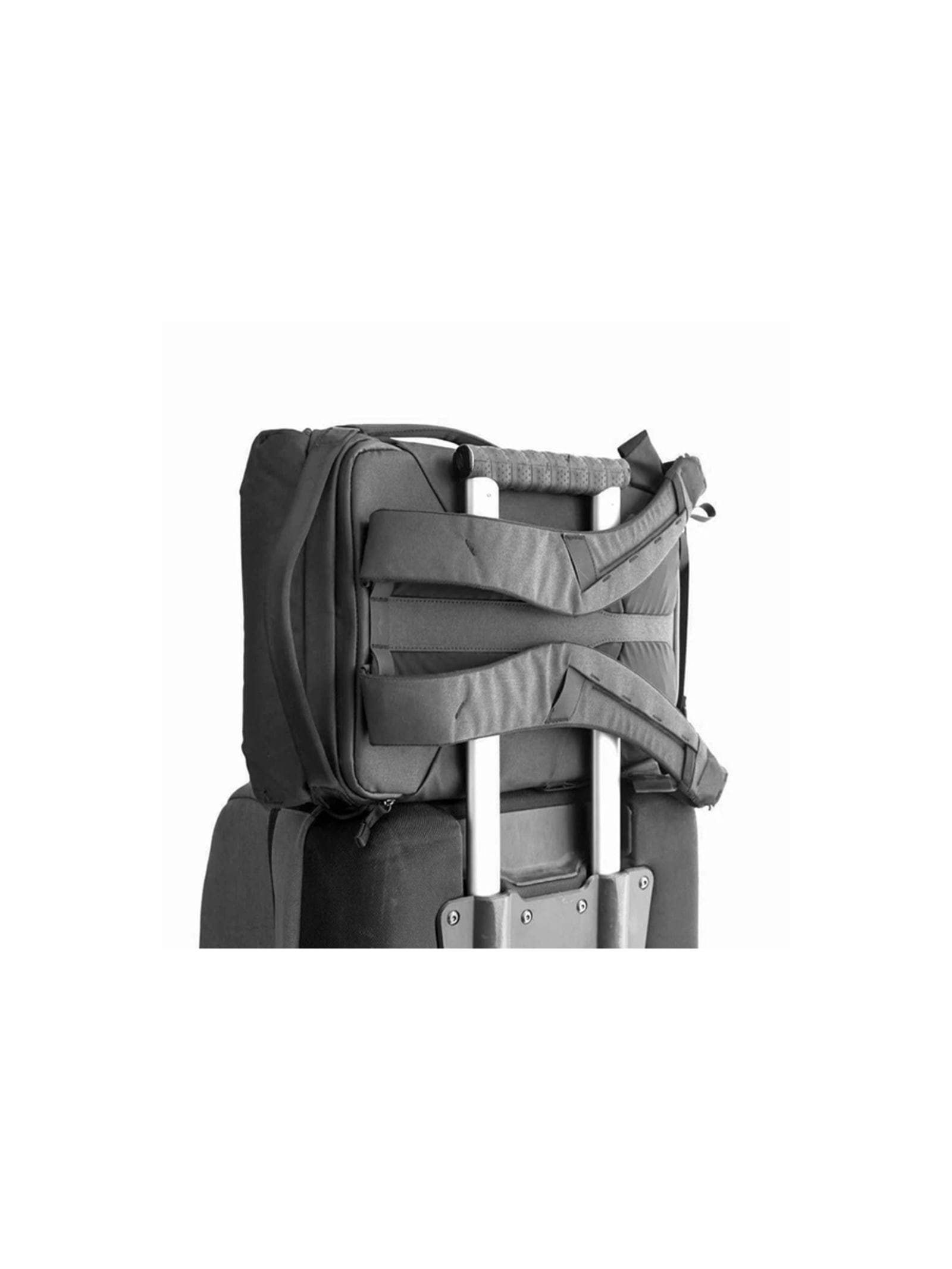 Everyday Backpack