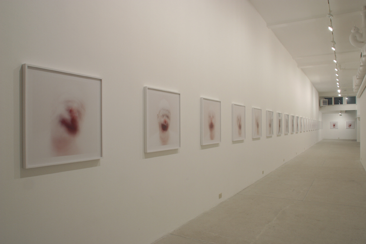 Cabinet of | Galleria Raffaella Cortese
