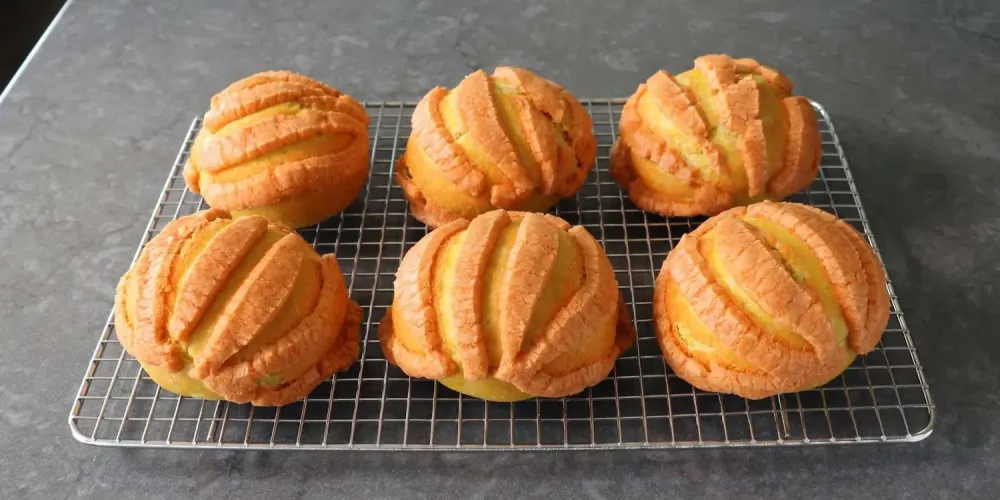 Conchas