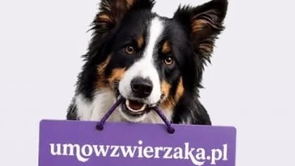 4Paws