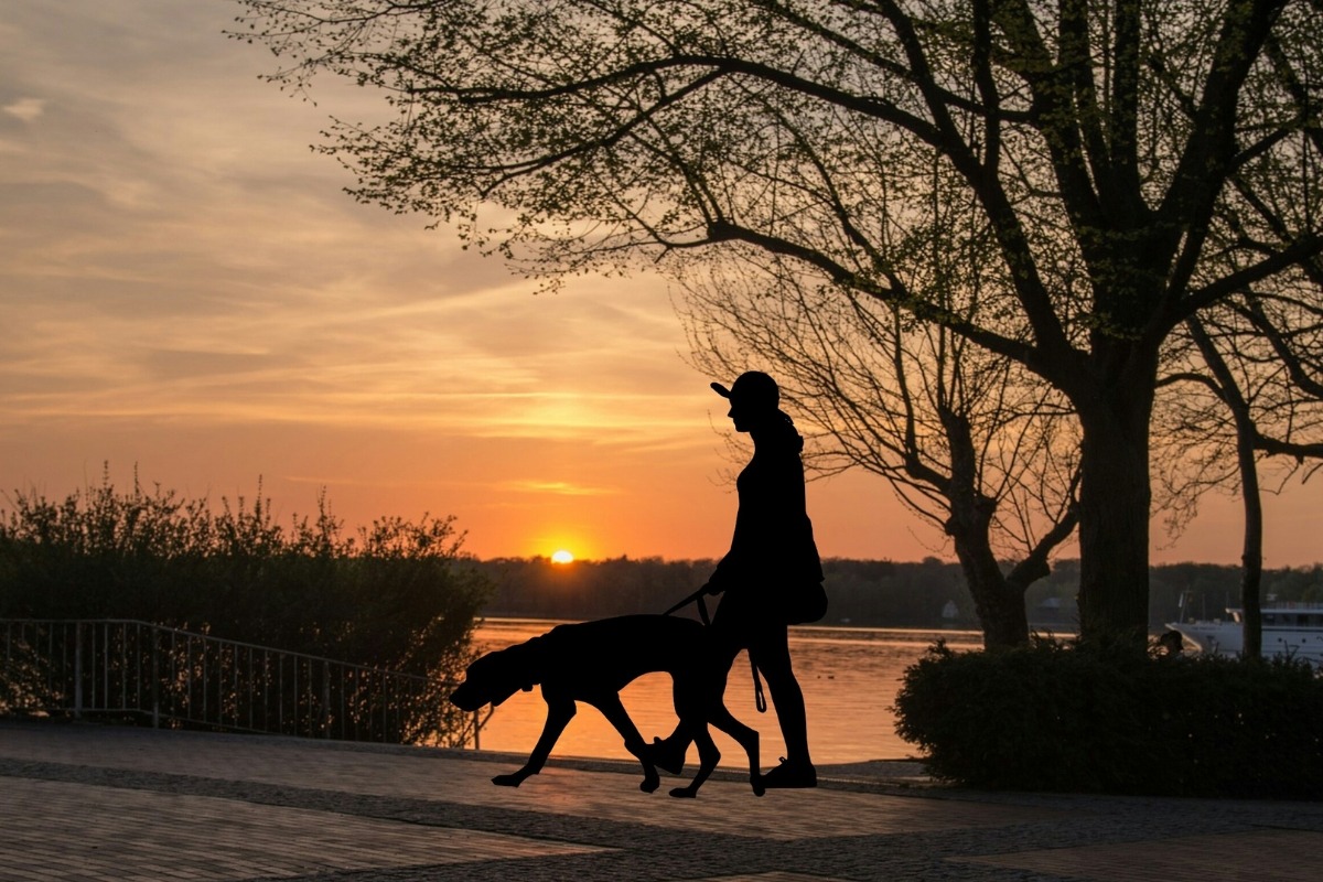 How To Prevent Dog Hot Spots During The Summer