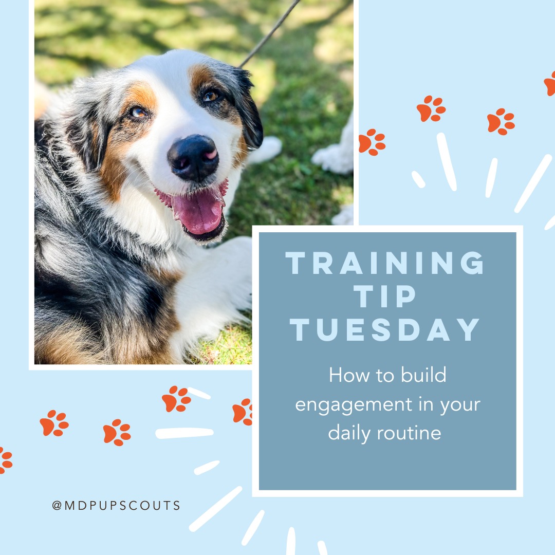 training tip