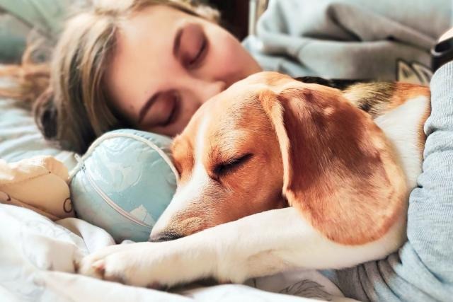 How To Help Your Anxious Dog: Complete guide To Dog Anxiety