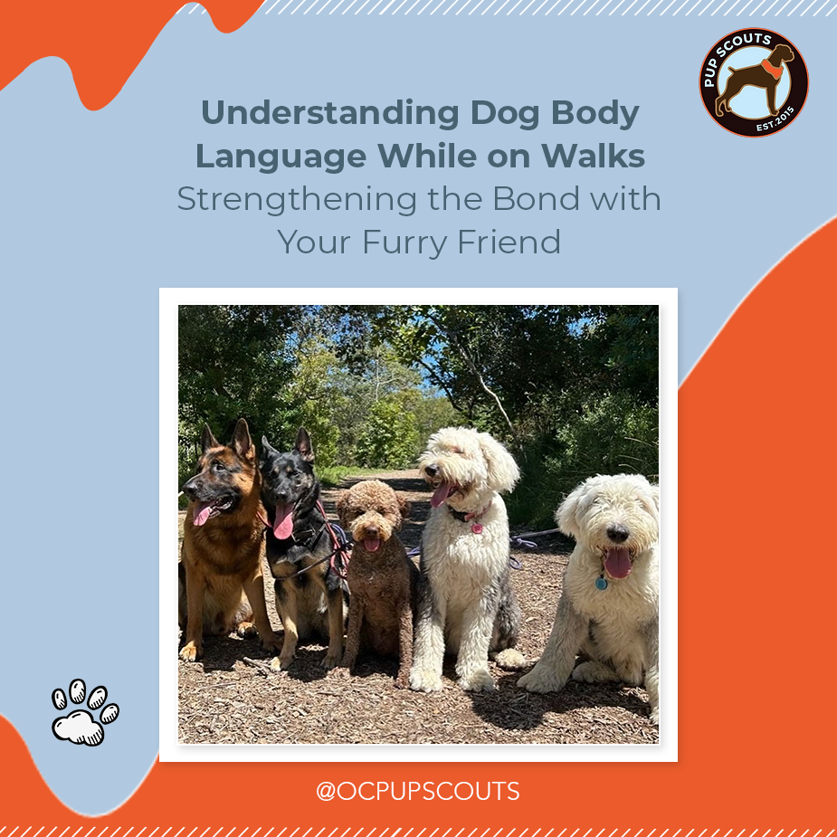 dog body language||Dog Walking and Training Services