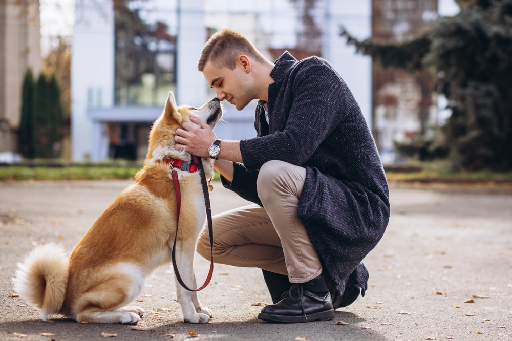 Middle aged caucasian man walking his border collie dog on a winter beach||Man strokes little Jack Russell Terrier dog during walk in park||young man kneeling next to his Akita dog