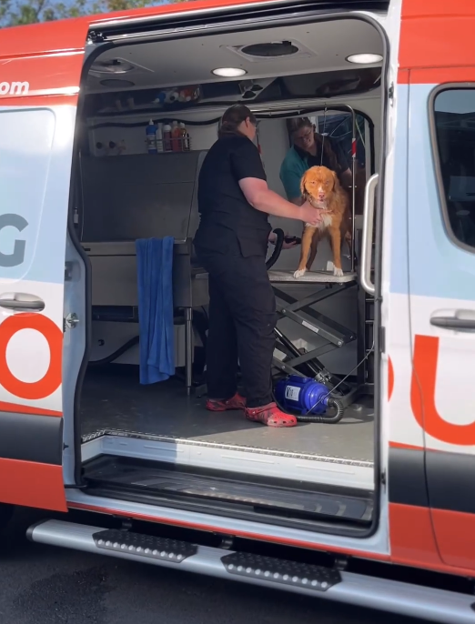 Mobile dog grooming van in Orange County in a long driveway||