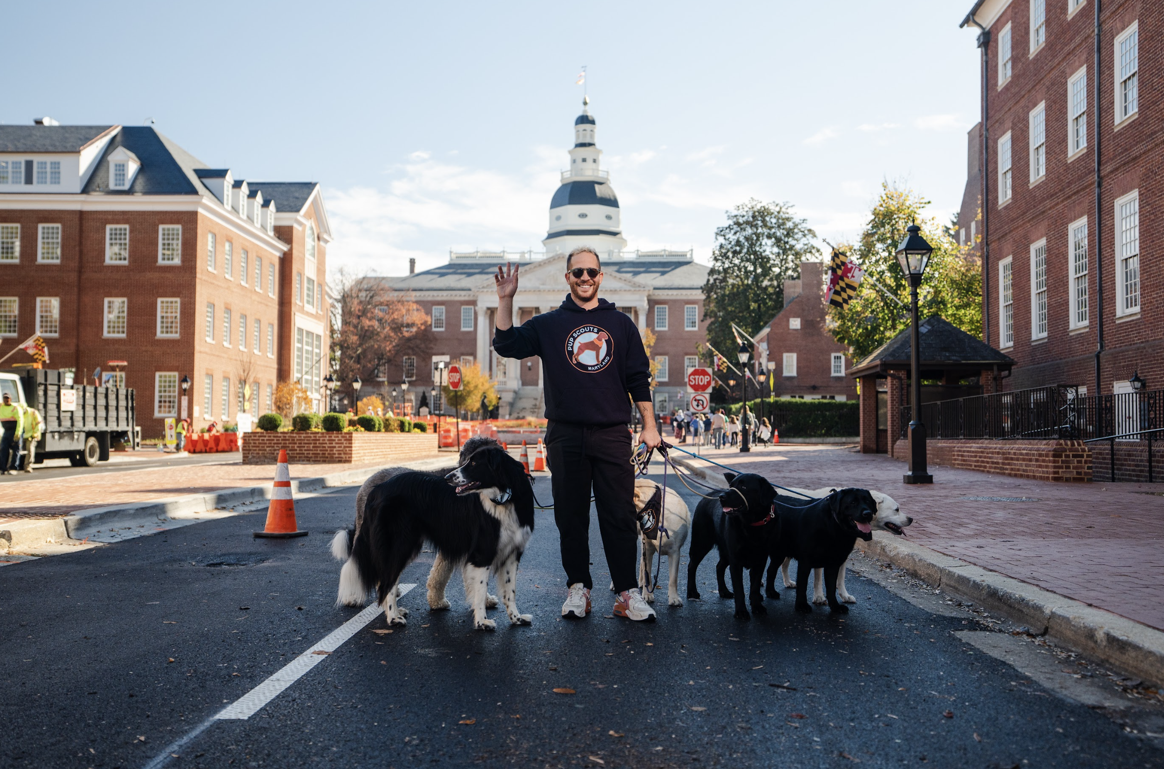 Contact Pup Scouts | Orange County Dog Walking, Training & Grooming