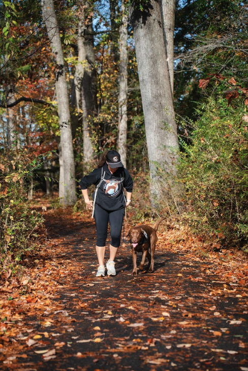 Pup Scouts private walk providing structure and peace of mind in Costa Mesa, CA