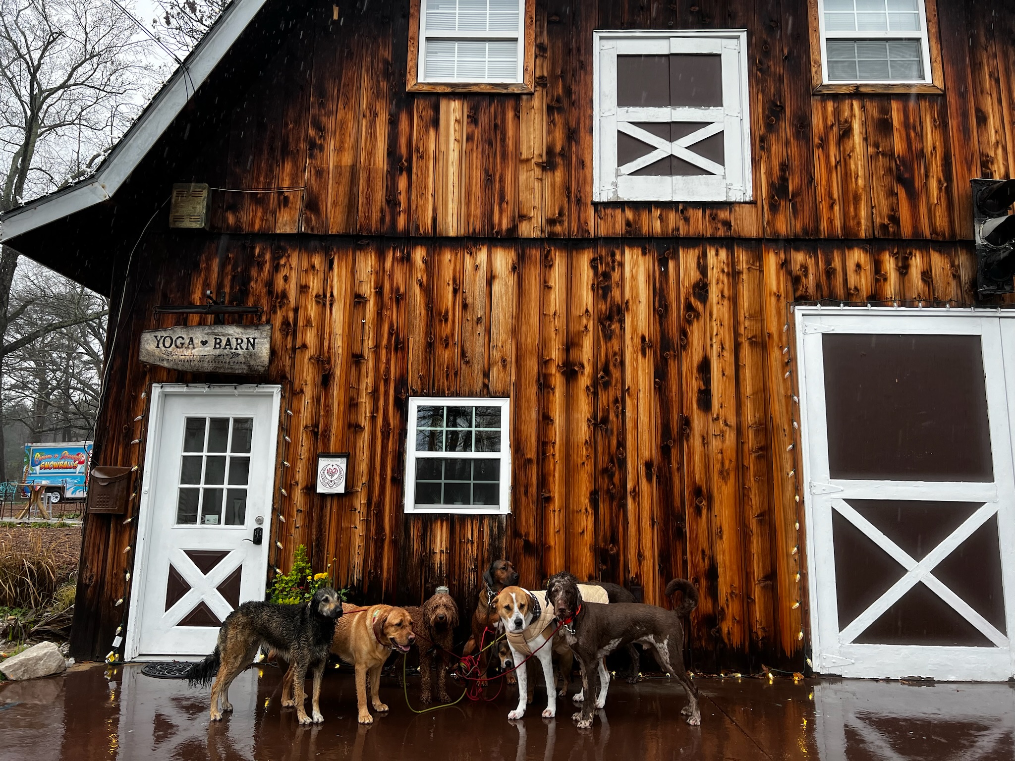 We treat every overnight stay like your pup’s own bedtime routine Dana Point, CA