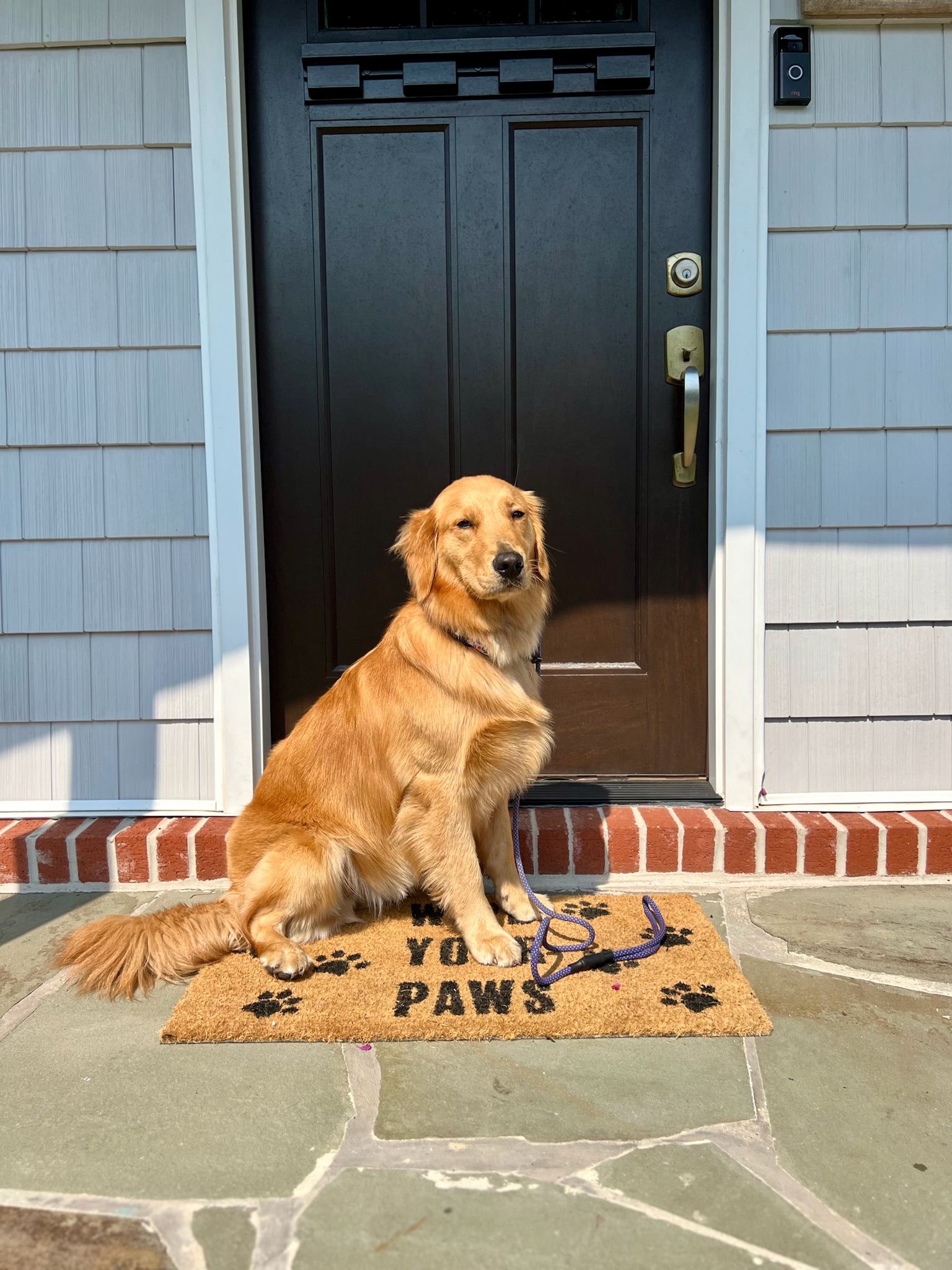 Making overnight stays feel like home at Pup Scouts Dana Point, CA