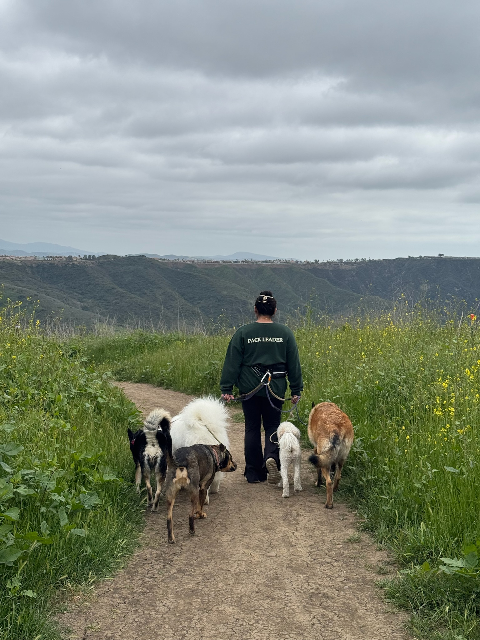 Dog and owner enjoying a fall walk in Dana Point, illustrating cold weather pet care tips for dogs.