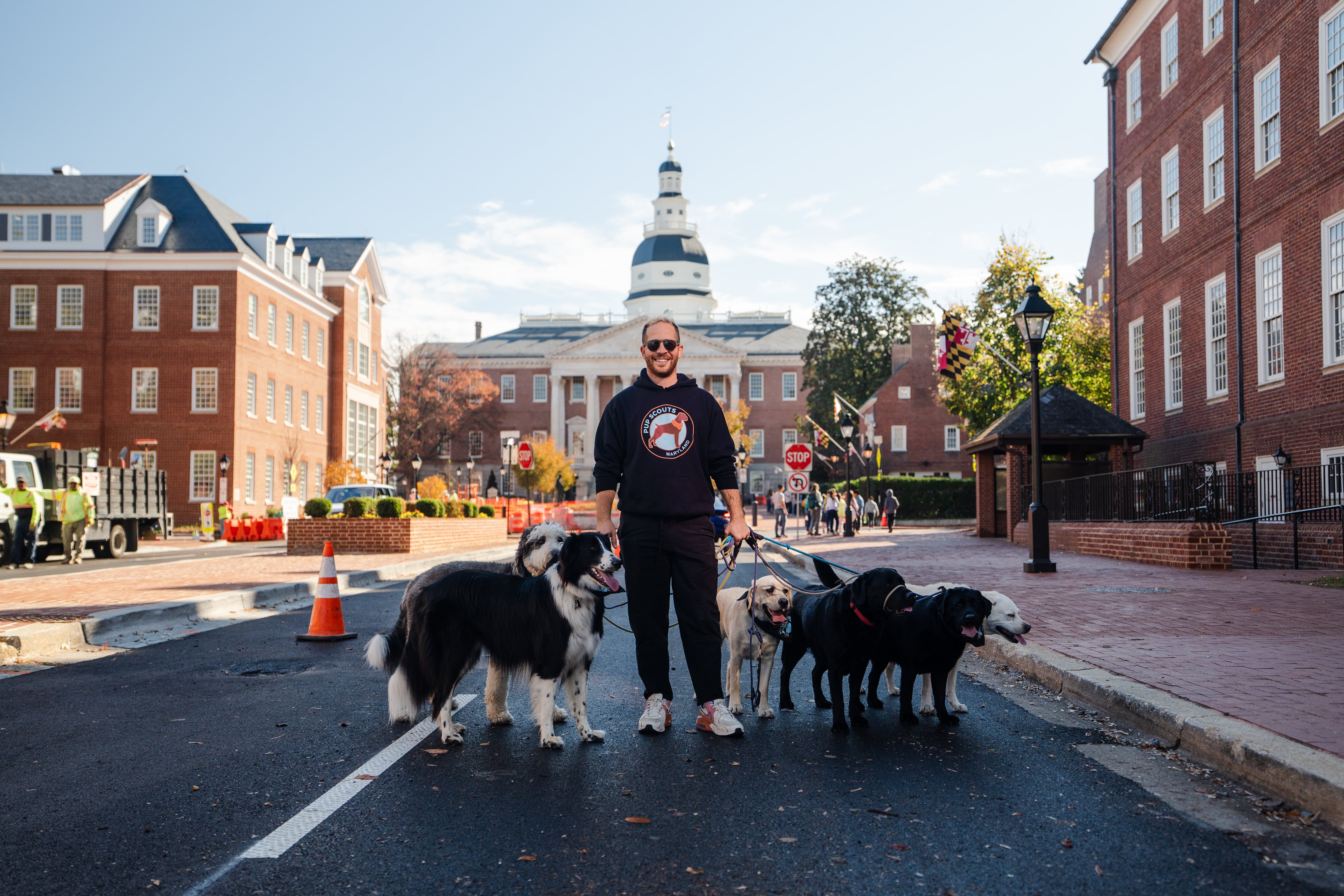 Pup Scouts dogs walking together on a quiet street in Pasadena, MD during a structured pack walk
