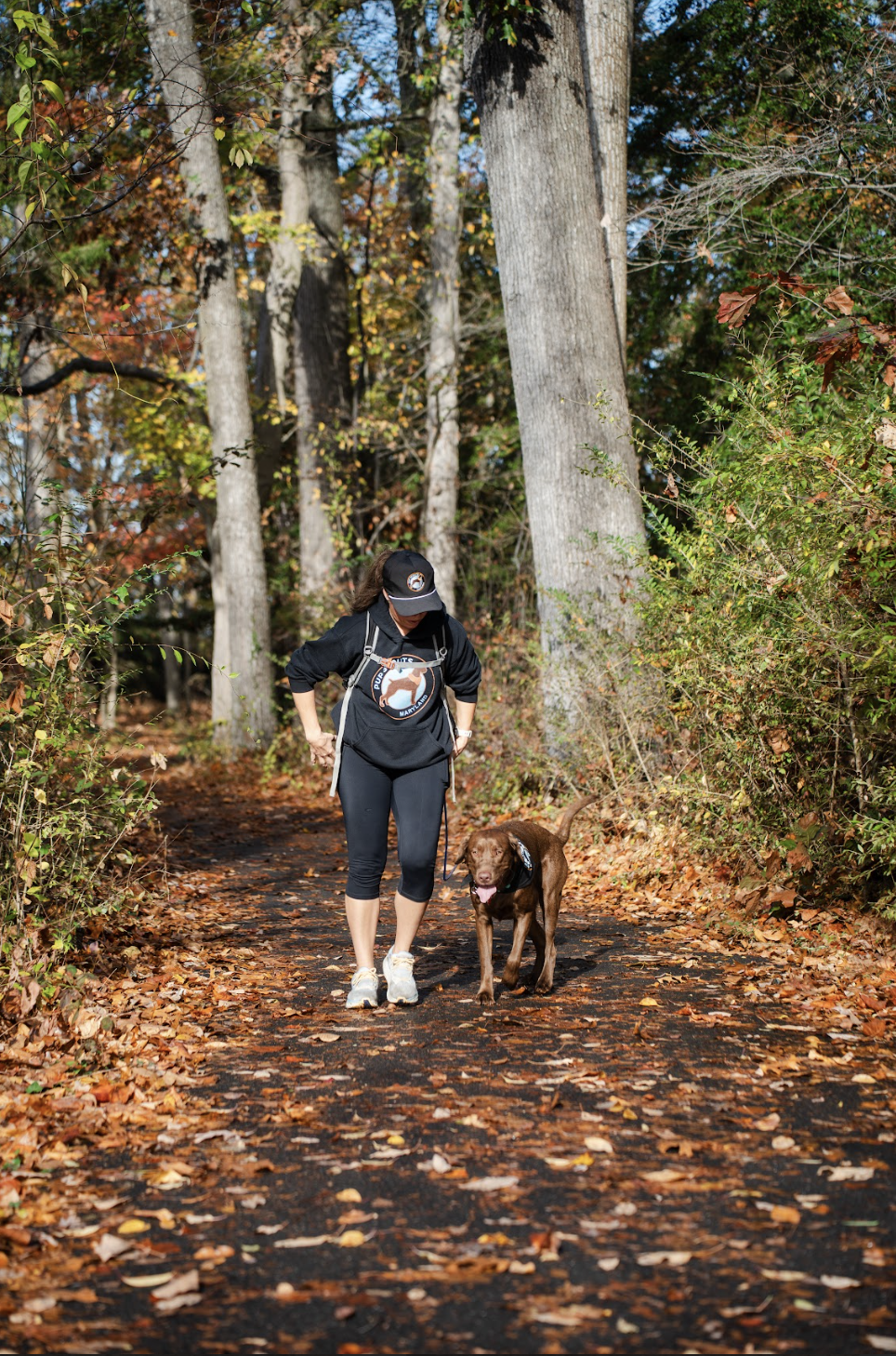 A calm dog enjoying a private walk in Crofton, designed for reactive or shy dogs, ensuring a stress-free experience.
