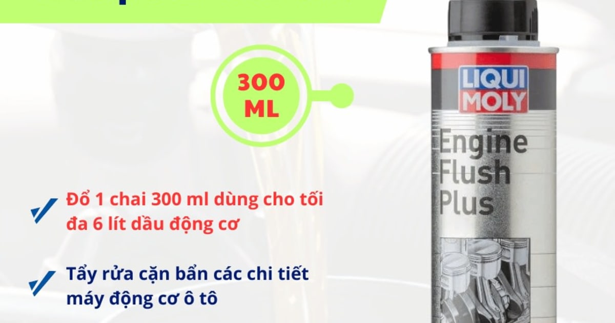 Súc động cơ ( cao cấp ) 300 ml hiệu Liqui Moly mã 8374