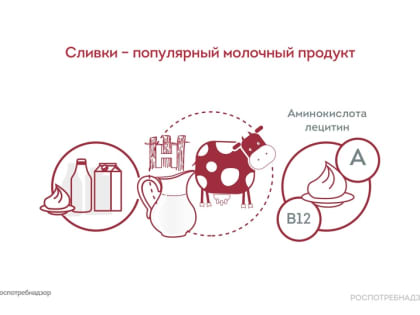Улучшают обмен веществ, благотворно влияют на зрение