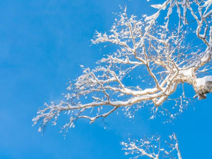 В конце выходных в Татарстане прогнозируется снег и до 18 градусов мороза