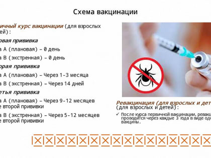 В этом году к медикам Нижнекамска с укусами клещей обратились 24 человека