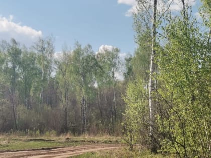 Нурлатцев предупредили о высокой пожарной опасности лесов в республике
