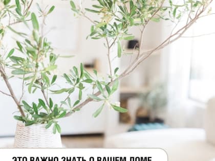 Гигиена: ухаживаем за постельным бельем, обувью и домом