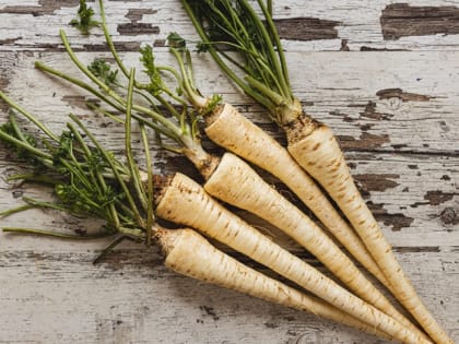 Стало известно, в составе какого продукта содержатся «витамины долголетия»