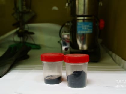 «Они говорили: «У тебя ничего не получится»: есть ли будущее у углеродных нанотрубок