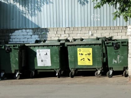 Казанцы пожаловались на крыс в ЖК бизнес-класса