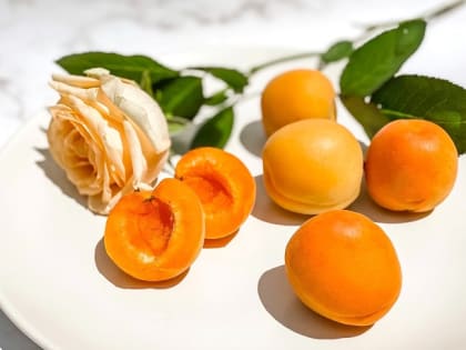 Жителям Татарстана назвали лучшие продукты, улучшающие работу мозга