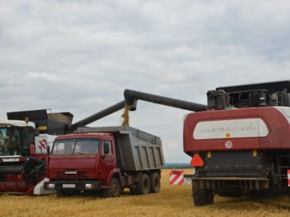 В Агрызском районе начались уборочные работы