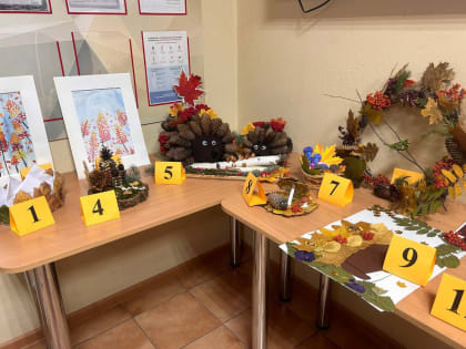 Новые инициативы по улучшению экологии в городе