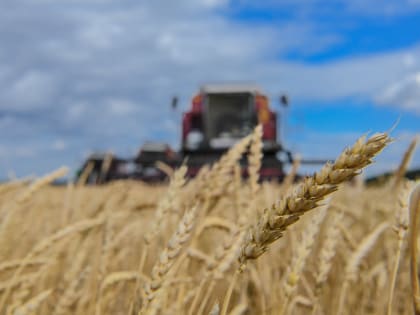 Минсельхозпрод РТ: В Татарстане ожидается сбор 3,8 млн тонн зерна В 2023 году