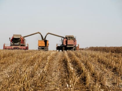 В Татарстане собрано более 3,6 тонн зерна