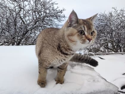 Без осадков и до -23 градусов: начало выходных в Татарстане обещает быть морозным