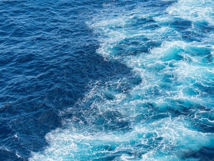 Новые горизонты: как технологии меняют образование