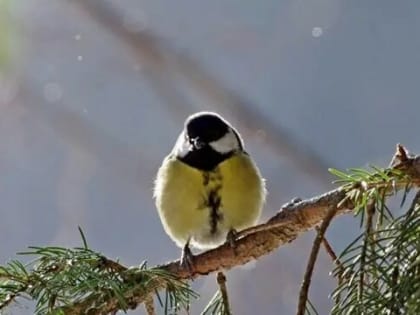 В Татарстане потеплеет до -1 градуса