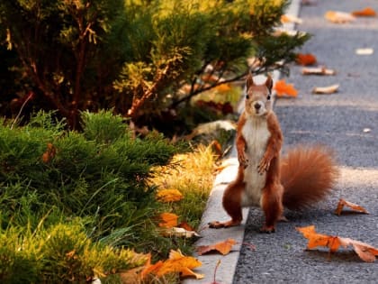 13 сентября в Татарстане воздух прогреется до +21 градуса