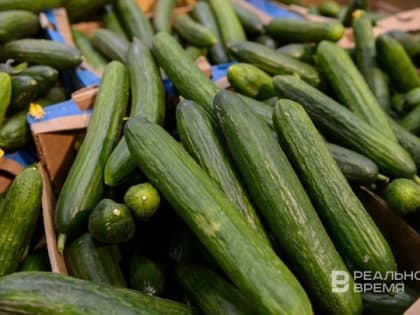 В начале декабря в Татарстане подорожали огурцы, яйца и бананы