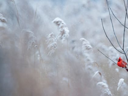 Консультация – предупреждение об интенсивности метеорологического явления на Территории РТ на 1 февраля