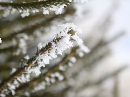 Небольшой снег и до -16 градусов ожидаются в Татарстане в конце рабочей недели