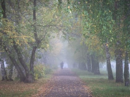 В Бугульме ожидается сильный ветер и слабый дождь